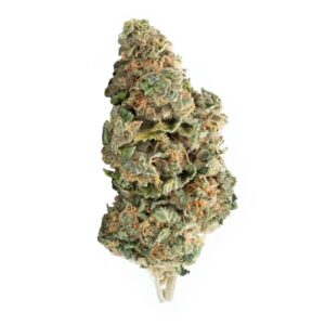 Elevator - Motor Head Hybrid 28g