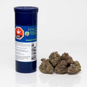 SPACE RACE - MISSION CONTROL 7G INDICA