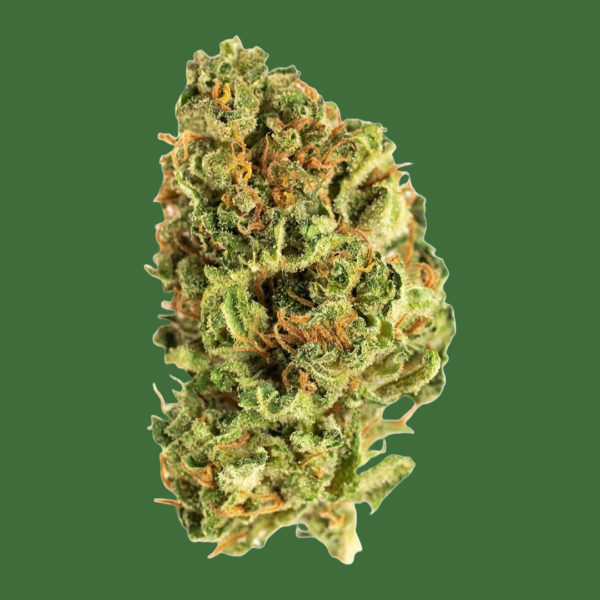 GOOD SUPPLY - Jean Guy 28G