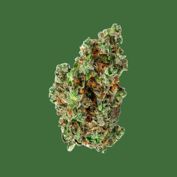 Bold - Root Beer Float 7G