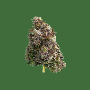 Ostra Medical - Bazookas 3.5G