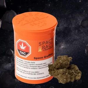 Space Race - Space Gryffins 3.5G Indica