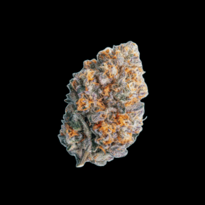 CASA DI FLORA: Gustosa Grape Krush PR5x0.5G
