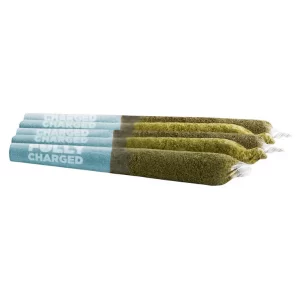 SPINACH: Rocket Icicle PR5x0.5G