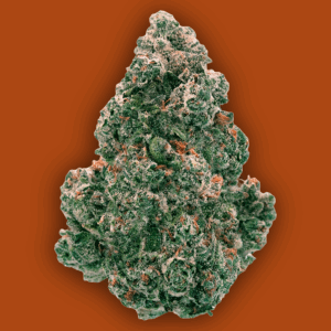 Back Forty - Liquid Imagination 14G