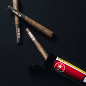 BOLD - Root Bold Vanilla BluntPR1X1G