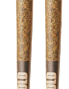 BOLD GLAZED - INDICA MEDELLIN PR2X1G