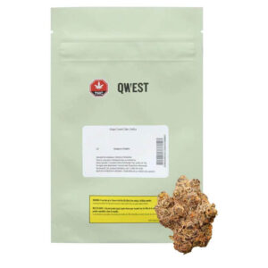 Qwest - Grape Cream Cake 14g Indica