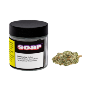 SOAR - PINEAPPLE GOD 7G INDICA