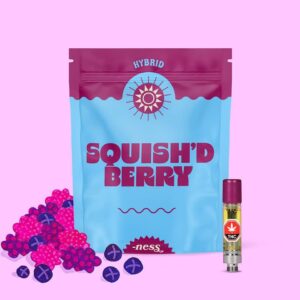 NESS - SQUISH'D BERRY 1G VAPE CART HYBRID