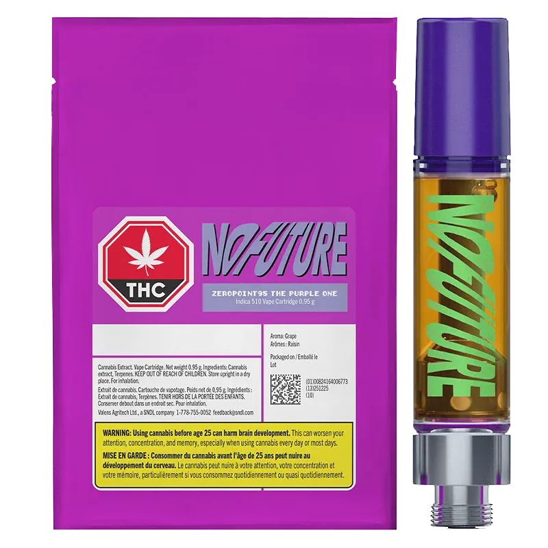 NO FUTURE - THE PURPLE ONE 510 VAPE CART 0.95G INDICA