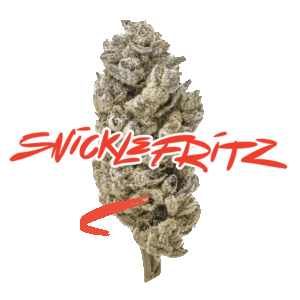 SNICKLEFRITZ - JUNGLE CAKE 3.5G HYBRID